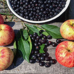 apples and black mountain  ash on a dark background