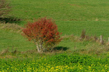 Wandern am Kalvarienberg