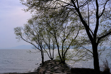 Obraz na płótnie Canvas 滋賀県の琵琶湖