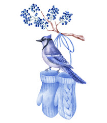 Watercolor illustration with mittens and winter birds  isolated on the white background.Hand painted watercolor clipart. Christmas composition, new year holiday.
