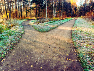 The road is divided into two alleys, diverging in different directions. Park, late autumn, rays of the setting sun, shadows and frost on the grass