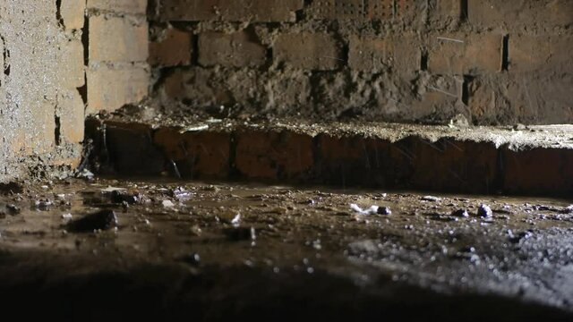 Large drops of water drip onto the basement floor. Splashes from drops fly off into the walls. The light is on, the drops are beautifully illuminated. Brick walls damp from water