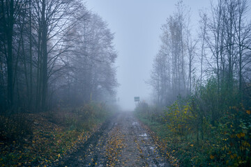 Fototapeta na wymiar wiejska ścieżka,ścieżka,droga,mgła