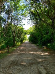 Costanera Sur Ecological Reserve, Buenos Aires, Argentina - Reserva Ecológica Costanera Sur, is a 865-acre tract of low land on the Río de la Plata riverbank located on the east side of the district