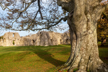 The Priory Ruins in Lewes, on an Autumn Day © lemanieh