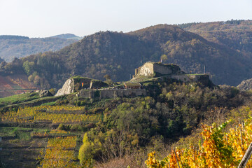 Fototapeta premium Saffenburg im Herbst