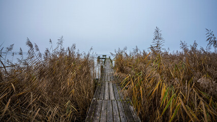 Ammersee