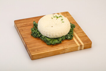 Caucasian suluguni round cheese piece