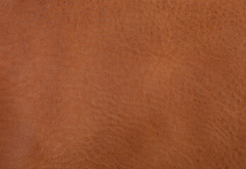 Fototapeta premium brown leather texture background pattern