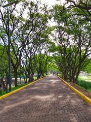 Obraz premium Costanera Sur Ecological Reserve, Buenos Aires, Argentina - Reserva Ecológica Costanera Sur, is a 865-acre tract of low land on the Río de la Plata riverbank located on the east side of the district