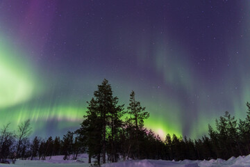 aurora boreal en finlandia - obrazy, fototapety, plakaty
