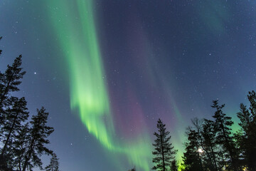 Fototapeta na wymiar aurora boreal de varios colores