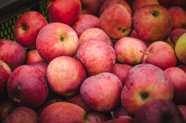 Fototapeta na wymiar The photo shows collection of fresh apples.