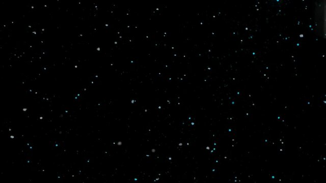 White snow nowflakes floating in the air on a black background. Ideal for making video effects. Snow slow motion filmed with studio lighting on a black background. Close up.