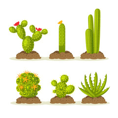 Set of cactus plants in desert among sand and ground, soil. Vector flat design © Nadezhda Buravleva
