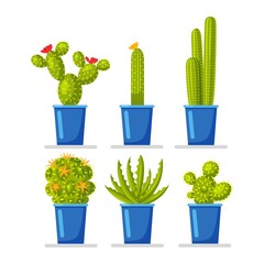 Set of cactus plants in pots. Vector flat design