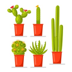 Set of cactus plants in pots. Vector flat design