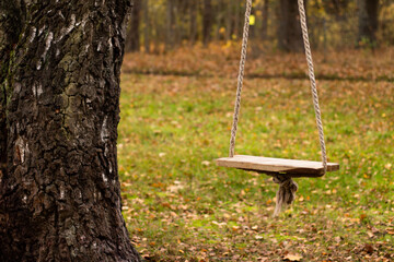 Naklejka premium Rope swing hanging on a birch tree in the village in autumn