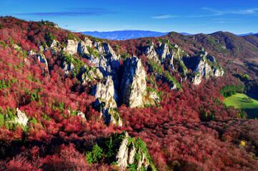 Autumn in nature. Forest colored red with green conifers. Rocks in the middle of the forest.