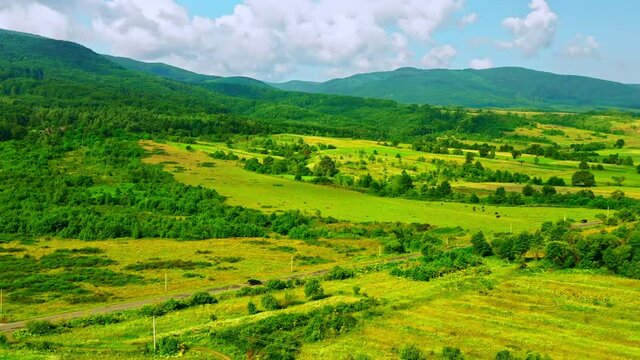 aerial view on meadow pasture mountains landscape with green forest daytime in summer season