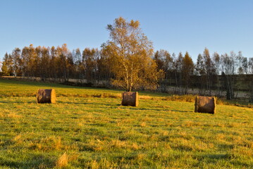 Sielskie życie na wsi . © Radek