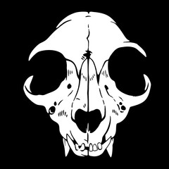 white animal skull on a black background