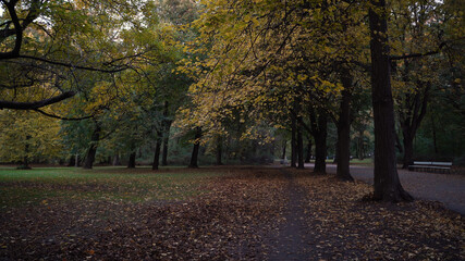 Naklejka premium Path in park autumn in Warsaw, europe. October weather nature life. Colorful leaf and trees.Path in park autumn in Warsaw, europe. October weather nature life. Colorful leaf and trees.