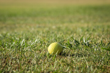 Eine Szene auf einem Golfplatz.