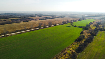 Aerial Panoramic View of Green Fields and Barren Land with Beautiful Lighting and Scenic View of Rural Landscape