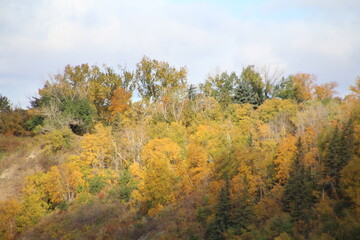 Colours On The Hill, Gold Bar Park, Edmonton, Alberta