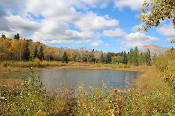 Autumn By The Pond, Gold Bar Park, Edmonton, Alberta