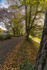 Herbst