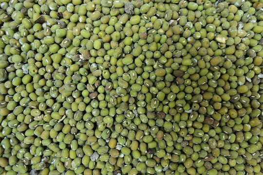 Top view shot of mung beans