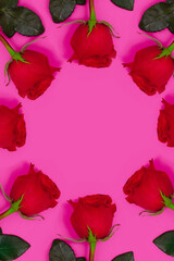 Red rose pink background. Juicy colorful floral background.