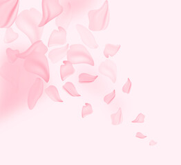 Sakura blossom flowers and may floral nature on pink background. For banner, branches of blossoming cherry against background. Dreamy romantic image, landscape, copy space.