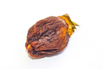 Chocolate persimmon, kinglet. Large dried fruit whole. Brown-orange with deep grooves. Healthy food and snacks. Light background.