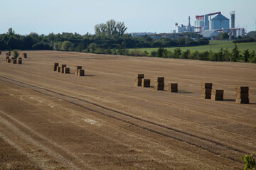 Obraz premium Strohballen sind gestapelt zum Abtransport auf einem Acker.