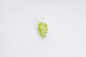 Ripe fresh green hops on a white background, top view.