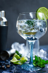 Glass of gin and tonic with mint, lime wedges, blueberries and ice on a grey background - obrazy, fototapety, plakaty