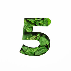 Number five made of green mint natural leafs and paper cut in shape of fifth numeral isolated on...