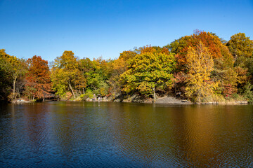 Fototapeta na wymiar Trees reflect off the Lake in Central Park, New York City