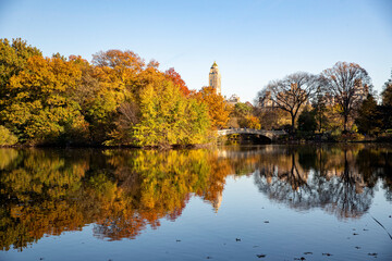 Fototapeta na wymiar Trees reflect off the Lake in Central Park