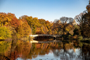 Fototapeta na wymiar The Bow Bridge over the Lake in Central Park, New York City