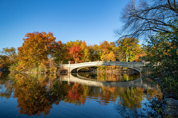 Fototapeta na wymiar Trees reflect off the Pool in Central Park, New York City