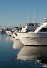 Large Ocean-going Boats Moored at Marina in Saltwater Harbor with Reflections 