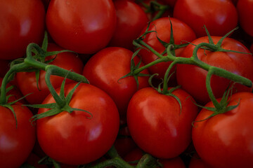 A lot of fresh tomato background. Vegetables board. close-up