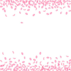 Fototapeta na wymiar Sakura petals falling down. Romantic pink silky sm