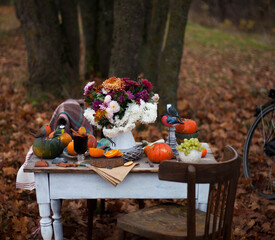 autumn background.vintage table with pumpkins and oranges in the autumn garden.