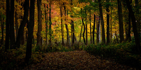 Fall evening - Hidden Lake