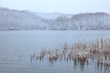 The snowy shore of Dog Run Lake, West Virginia during winter with trees and fog in the background